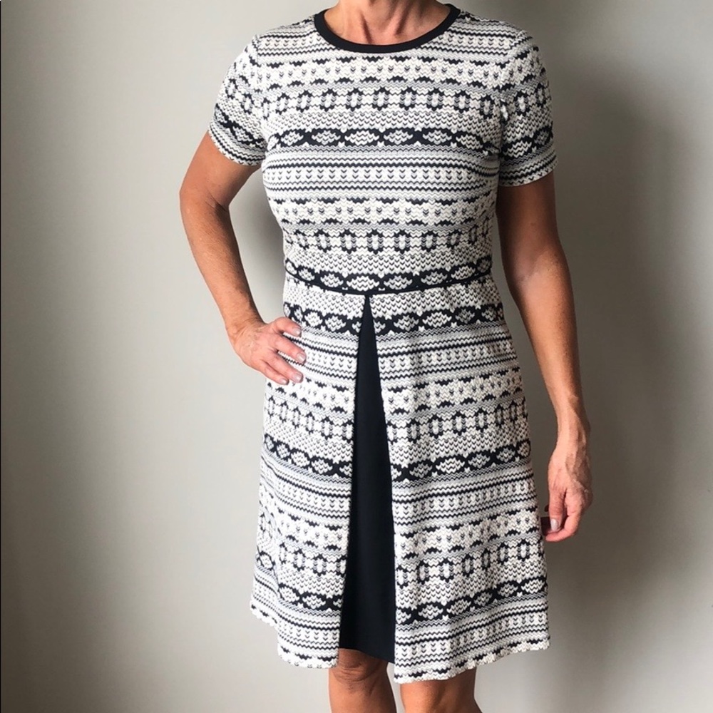 Maggie London novelty fit and flair dress